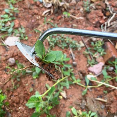 1Pcs Stainless Steel Garden Weeders Grass Rooting Loose Soil Hand Weeding Puller