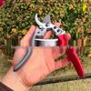 SK5 Steel Pruning Shears for Bonsai, Fruit, and Vegetables - Perfect for Gardening, Outdoor Use, and Fruit Tree Picking.