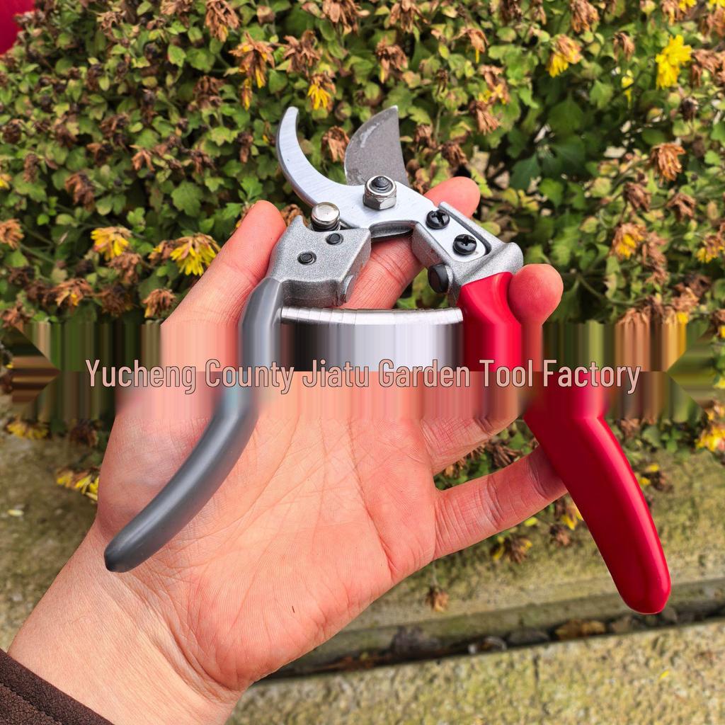 SK5 Steel Pruning Shears for Bonsai, Fruit, and Vegetables - Perfect for Gardening, Outdoor Use, and Fruit Tree Picking.