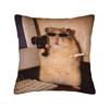 Hamster Faded Funny s Style Square Pillow Cases  Cushion Cover Fashion Zippered Decorative Pillowcase for Home cm