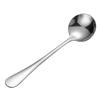 Stainless Steel Spoon