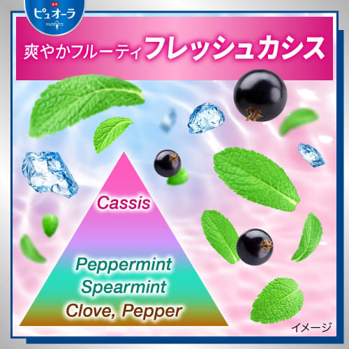 Pyuora Medicated Toothpaste, Fresh Cassis, Large Capacity, 170g