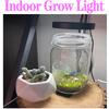Full Spectrum Plant Lamp USB Grow Light LED Growth Light Phyto Lamp Flower Seedling Hydroponic Lighting Grow Lamp Phyto Lamp