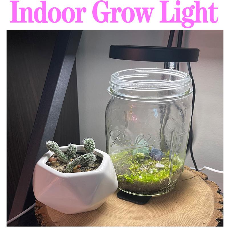 Full Spectrum Plant Lamp USB Grow Light LED Growth Light Phyto Lamp Flower Seedling Hydroponic Lighting Grow Lamp Phyto Lamp