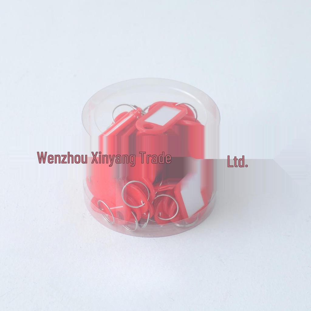 Colorful Detachable Plastic Key Tag Keyring for Office & Home Management