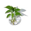 Wall Hanging Glass Plant Terrarium Container Propagation Station Wall-Mounted Flower Vases Air Plant Terrarium Home Office Decor