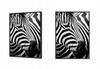 Picture poster In a frame 53x73 cm Zebra 7 P578