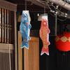 Japanese Carp Windsock Outdoor Hanging Fish Shaped Flag Kite Wind Socks for Garden Backyard Home Sushi Bar Restaurant Decoration