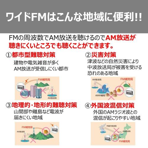 Toshiba CD Radio with Bluetooth Horizontal Compact TY-CW10(K) Black