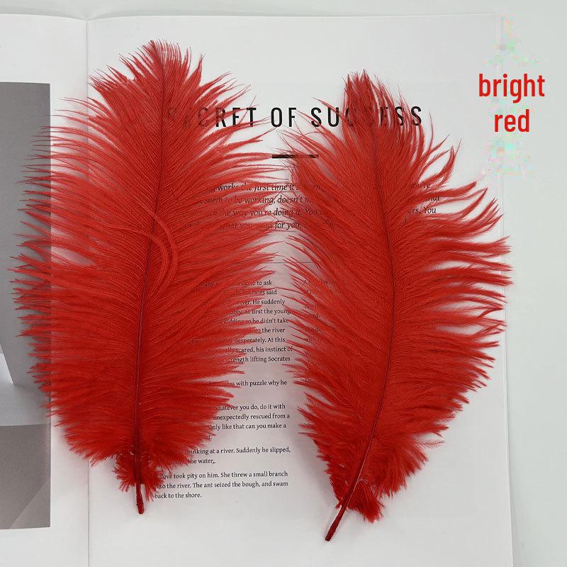 Barevné zavírače na dorty z pštrosího peří a příslušenství