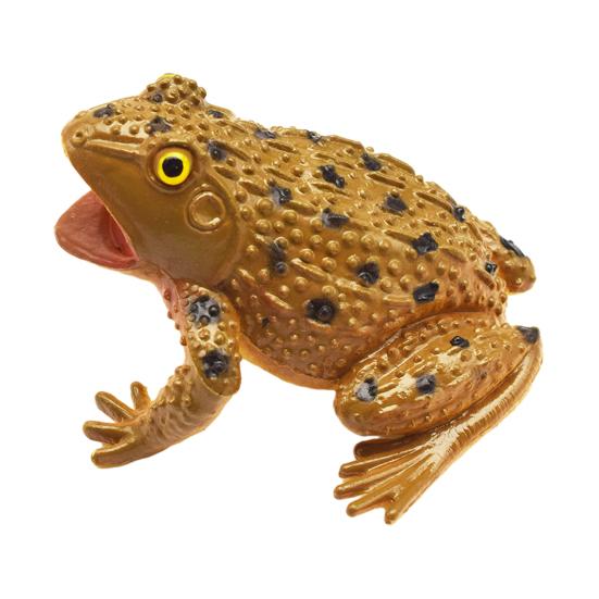 

Імітована модель жаби з реалістичним звуком, зняття стресу, реалістична іграшка-жаба для стискання, розвиваюча іграшка для малюків, іграшка для розіграшів з тваринами, подарунок-кляп коричневий