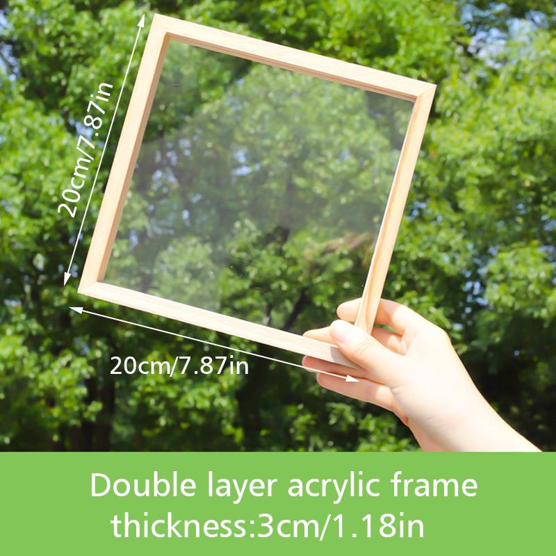 

1 шт. Прямоугольный Домашний Декор Акриловая Картина с Засушенными Листьями Растений, Образец, Фоторамка, Искусство и Ремесла, Дисплей, 2 Размера 20x20cm Double layer