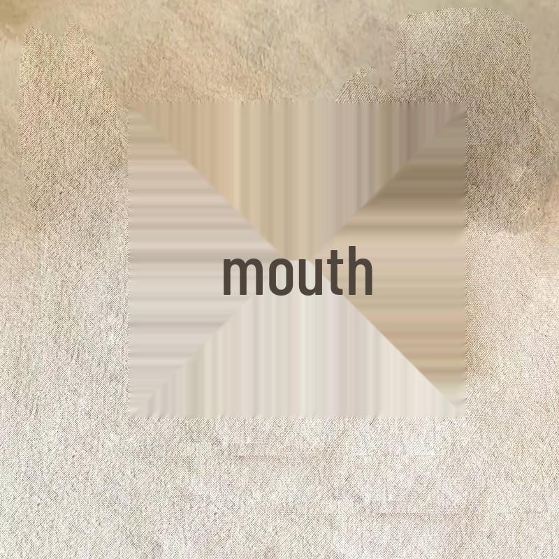 Průhledná úložná krabička na šperky s antioxidační fólií na náušnice, klipsy na uši a náhrdelníky