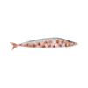 Teppanyaki Seafood Model: Saury, Squid, Small Octopus, Dried Fish Decoration Props