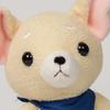 Shinada Pies z Brwiami Chihuahua Pluszowa Zabawka L 18cm Maskotka z Bandaną
