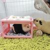Hamster Bed House Bunk Bed Small Animal Warm Bed House Cage Nest Blanket Bed Small Pet House Animals Hamster