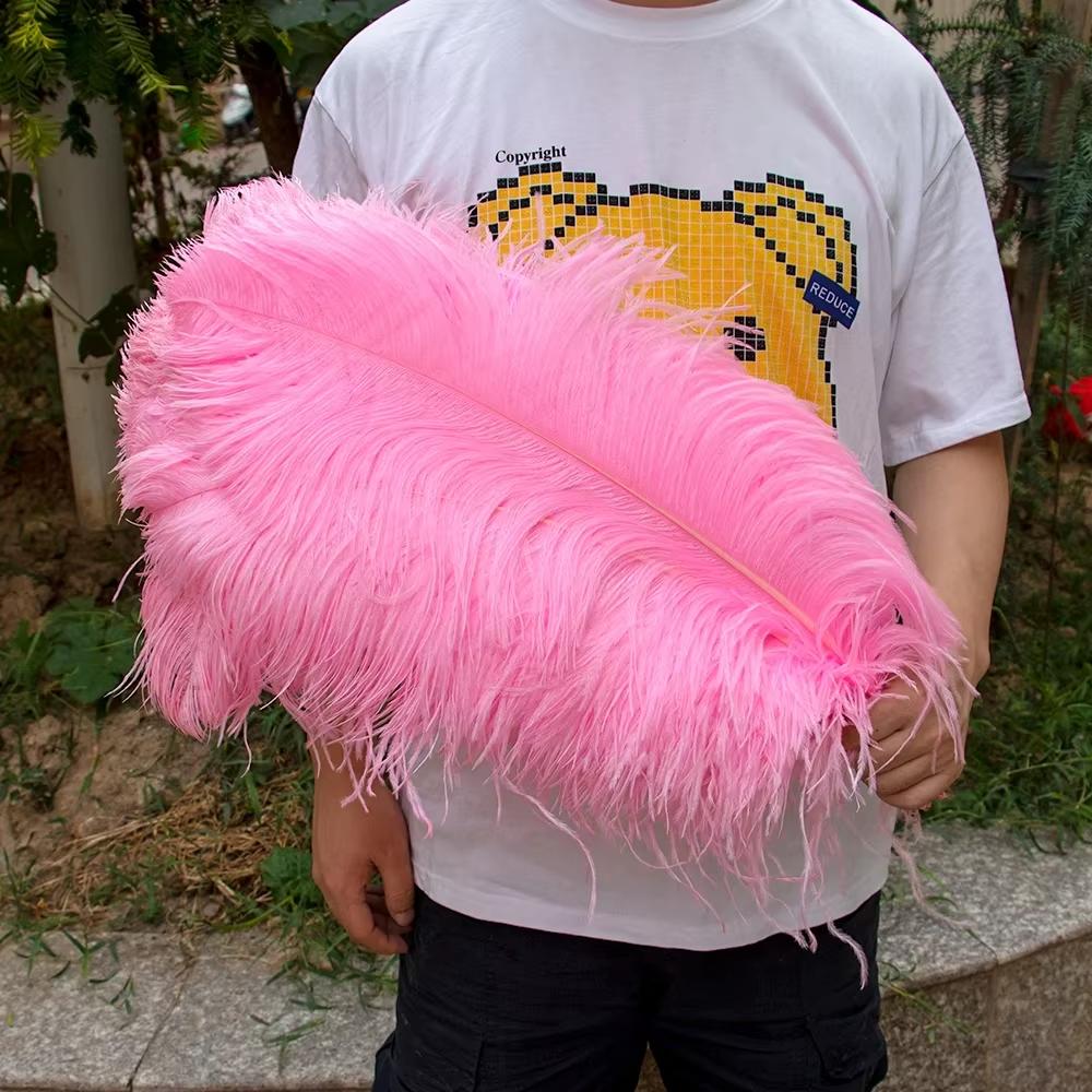 15-60Cm Natural Ostrich Feathers | High-Quality For Diy, Wedding, Party, Stage, Costume & Home Decor | Various Colors Available