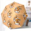 Accesorii – Umbrele