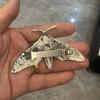 Alloy Hair Clip Moth Decor Gothic Vintage Hair Pin 3.31×1.89in for Halloween Party Costume Accessories