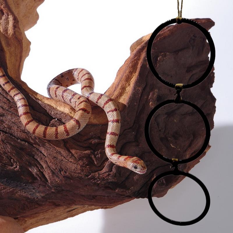 Snake Enrichment Reptile Climbing Decor Swing Hoop Chain 3 Rings Toy Decorations For Pet Habitat House Indoor Amphibian