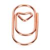 250Pcs 20*9mm Fancy Paperclips Rose Gold/Gold/Silver Electroplating Metal Small Paper Clips with Storage Box Mini Size