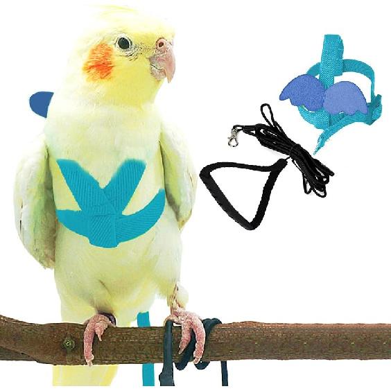 Dnoifne Smycz i Szelki dla Papugi Ptaka, Regulowany Design Treningowy Zapobiegający Gryzieniu, Ptasi Nylonowy Sznurek z Uroczy Skrzydłem dla Papug, Odpowiedni dla Szkarłatnej,