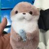 Cute Otters Holding Fish Plush Doll Keyring for School Bag Wallet Keys  Lightweight Hanging Props