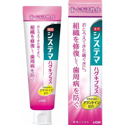Set of 2 Lion Systema Haguki Plus Toothpaste (90g) - Medicated Toothpaste
