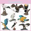 Lifelike Pvc Bird Figurines Set With Snowy Owl Bald Eagle Macaw Seagull And Vulture Models