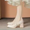 French Evening Wind Thick Heel Single Shoes Women's Spring and Summer with Skirts Gentle One-word Buckle Belt Shallow Mouth Single Shoes Women