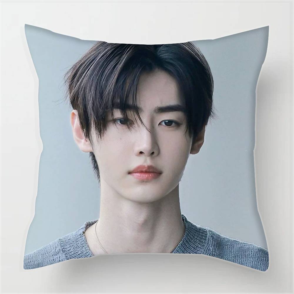 Federe fodere cuscini divani soggiorno decorazioni per la casa regali Park S-ung-hoon Cantante Pop