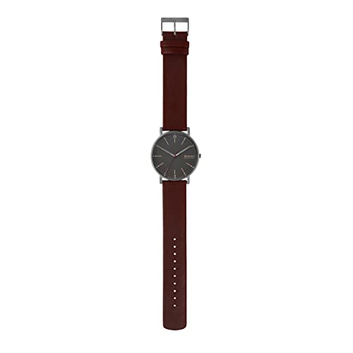 Skagen SIGNATUR SKW6860 Men's Watch, Red