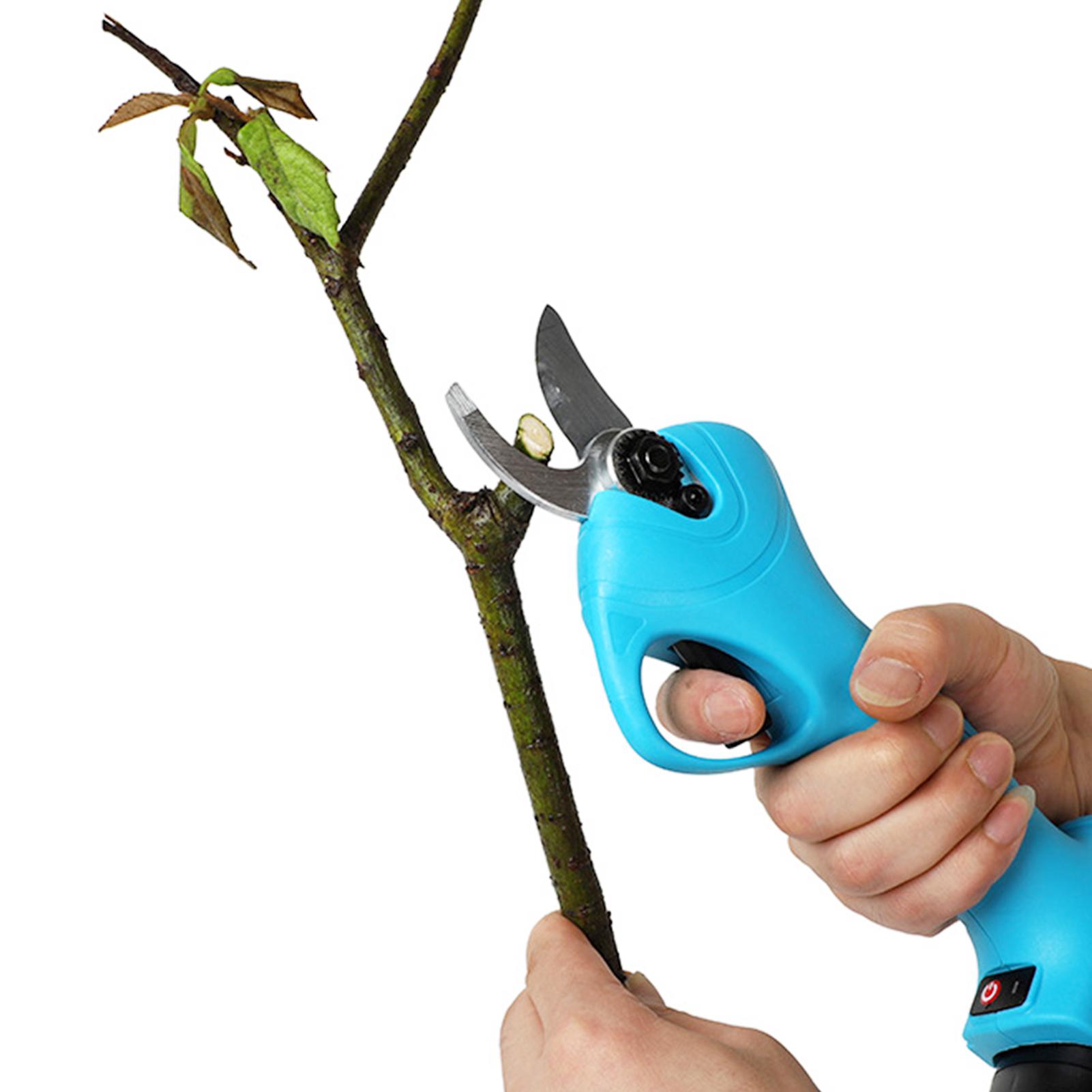 Valex Shear 168 Akku-Gartenschere – 16,8 V, Im Koffer Mit 2 Akkus & Ladegerät, Bis 25 Mm Schnitt