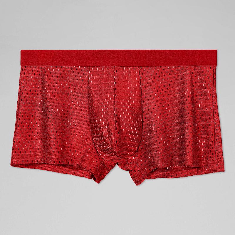 Men's Ice Silk Mesh Breathable Boxer Briefs - Transparent, Sexy, Summer Thin