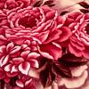 Winter Thickened Raschel Wedding Blanket – Double Layer Quilt for Students & Couples
