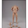 Toy Hobby [TOYBARJAPAN] 1/6 Action Figure COOMODEL COO BD001/02/03/04/07/08/09/10 Male Body (Standard Type BD001)