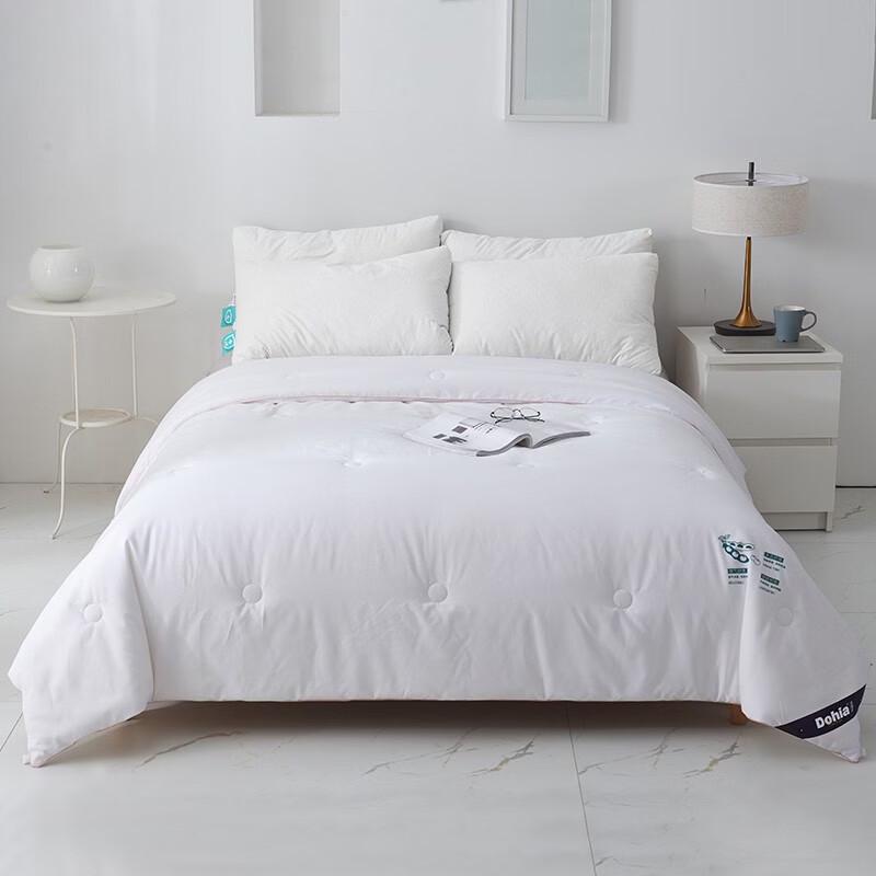 Duoxiai Warm Brushed Soybean Winter Quilt