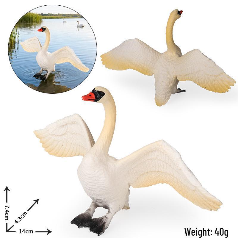 Realistic Warty-Nosed Swan Heart Model: Children's Cognitive Toy & Zoo Decoration