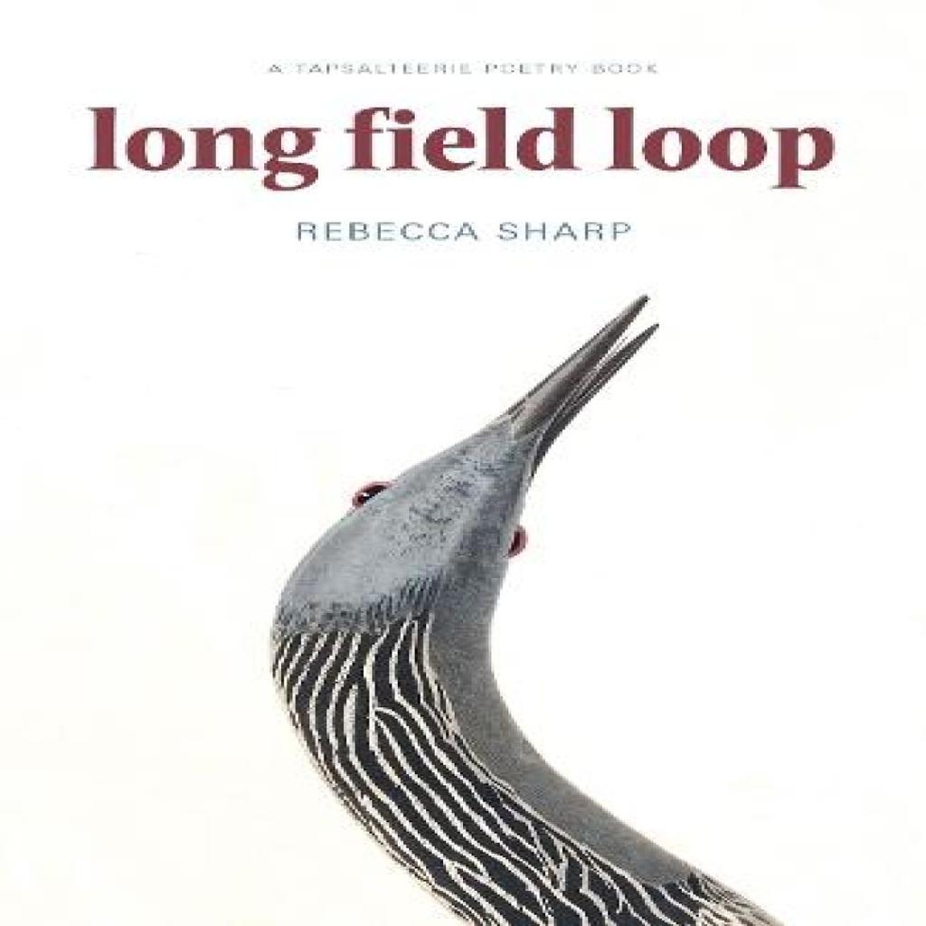 Long Field Loop by Rebecca Sharp Paperback Book 9781738439607