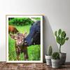Diamond Art Cow 5D Diamond Mosaic Cross Stitch Daimond Painting Full Drill