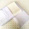 Adorable Latex Pillow Core for Kids Aged 0-6 Years - All-Season Nap Pillow for Nursery & Kindergarten