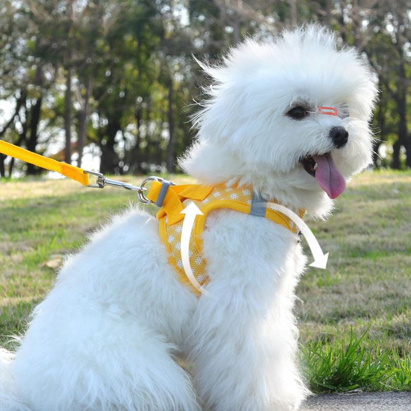 Fashionable Plaid Cat Chest Strap Vest Leash Adjustable No Pull Reflective Outdoor Pet Harness for Kitten Puppy Dogs Accessories