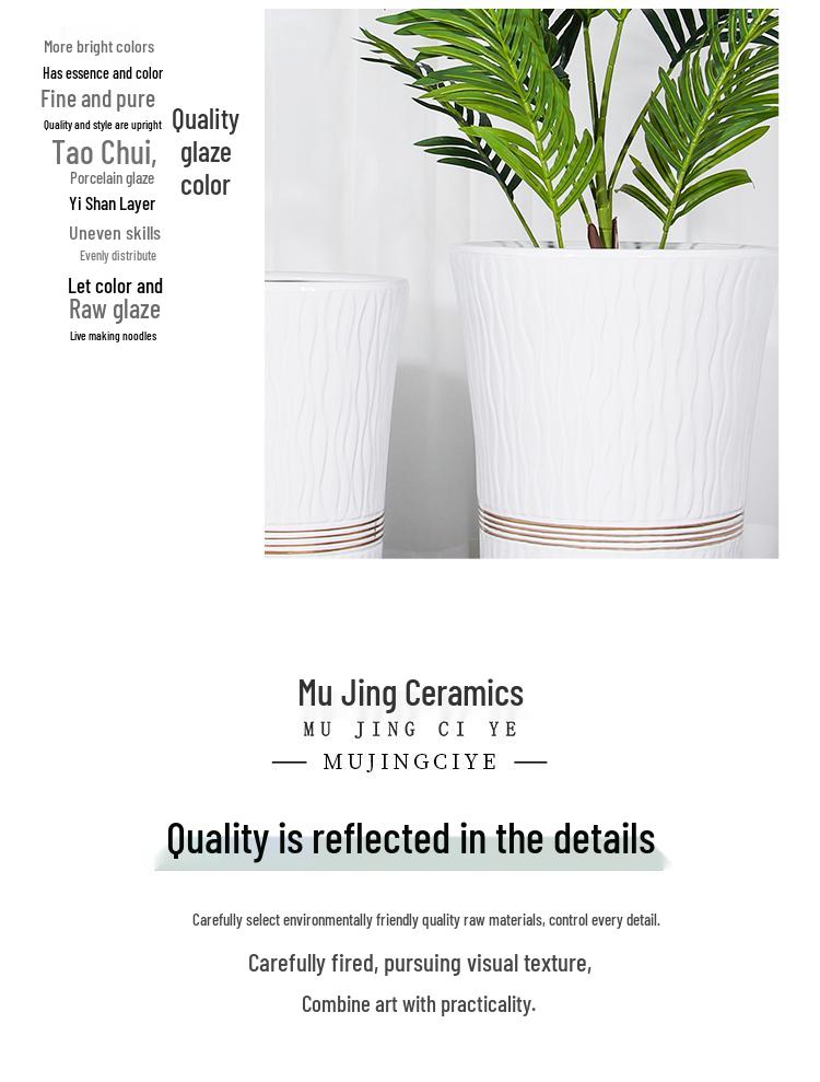 Large Ceramic Flower Pot with Tray for Indoors/Outdoors, Suitable for Succulents & Green Plants