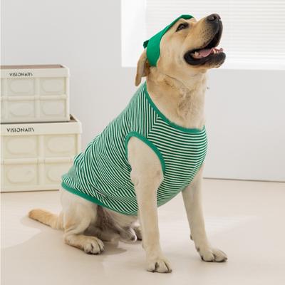 Abbigliamento e scarpe – Gilet e camicie per cani
