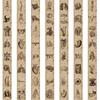 56 Human Skeleton Schematic Doodle Stickers - Waterproof for Suitcase, Guitar, Notebook, & More
