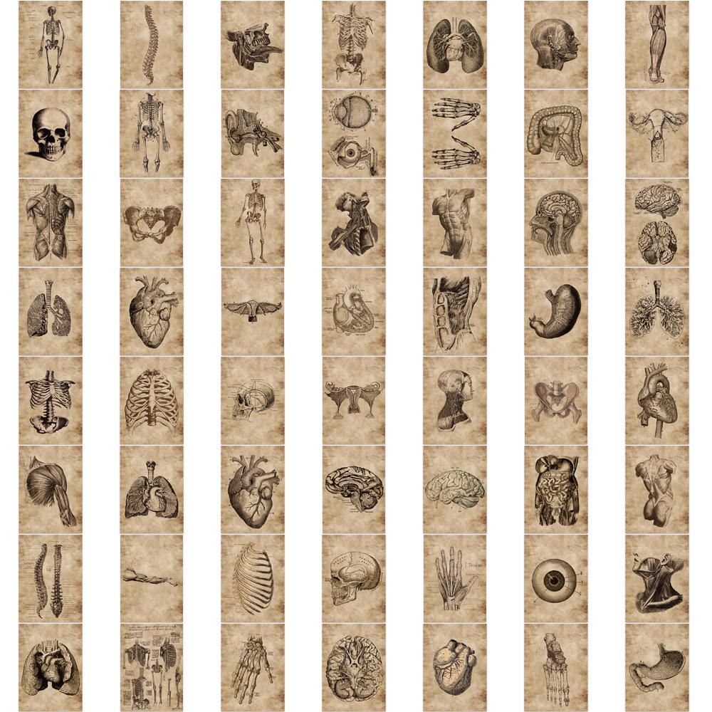 56 Human Skeleton Schematic Doodle Stickers - Waterproof for Suitcase, Guitar, Notebook, & More