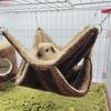 Hammock for Rats Double Thick Plush Winter Warm Bed for Hamster House Nest Sleeping Bag Hanging Tree Bed Guinea Pig Pet Supplies