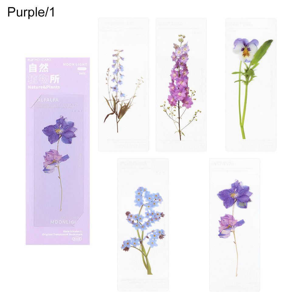 Leaf Vein Reading Mark Specimen Bookmarks Nature Plants Bookmarks Translucent Flower Bookmarks Card