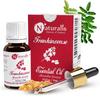 15ML
