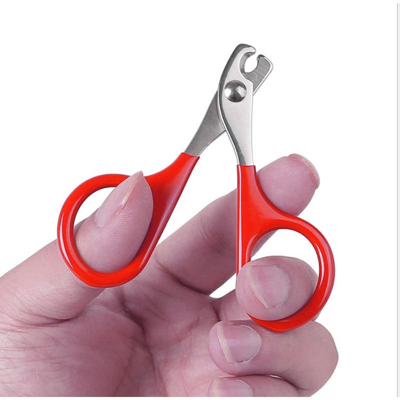 dog nail scissors